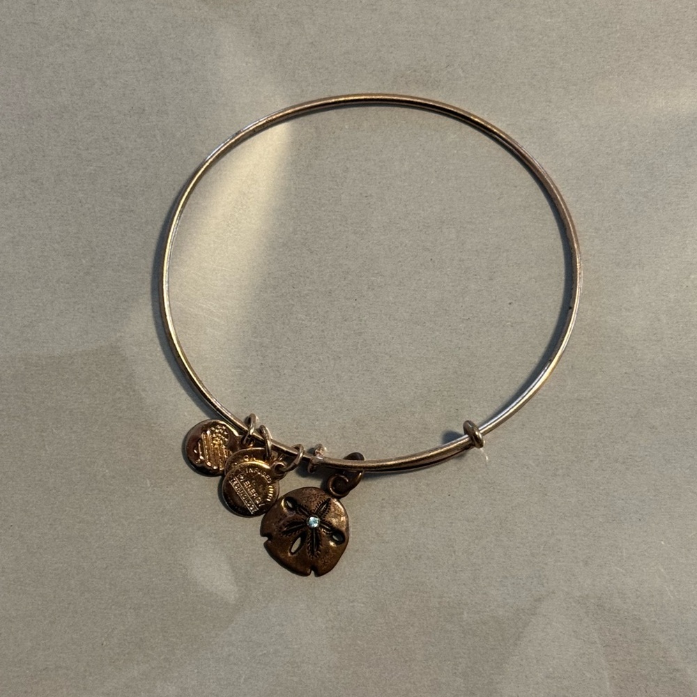 Alex and Ani Gold Sand Dollar Charm Bangle with small stone accent